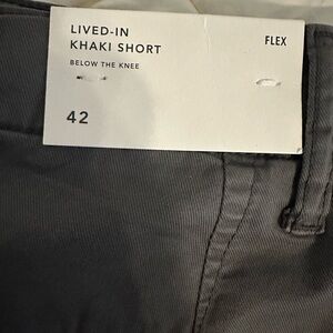 American Eagle Lived in shorts flex